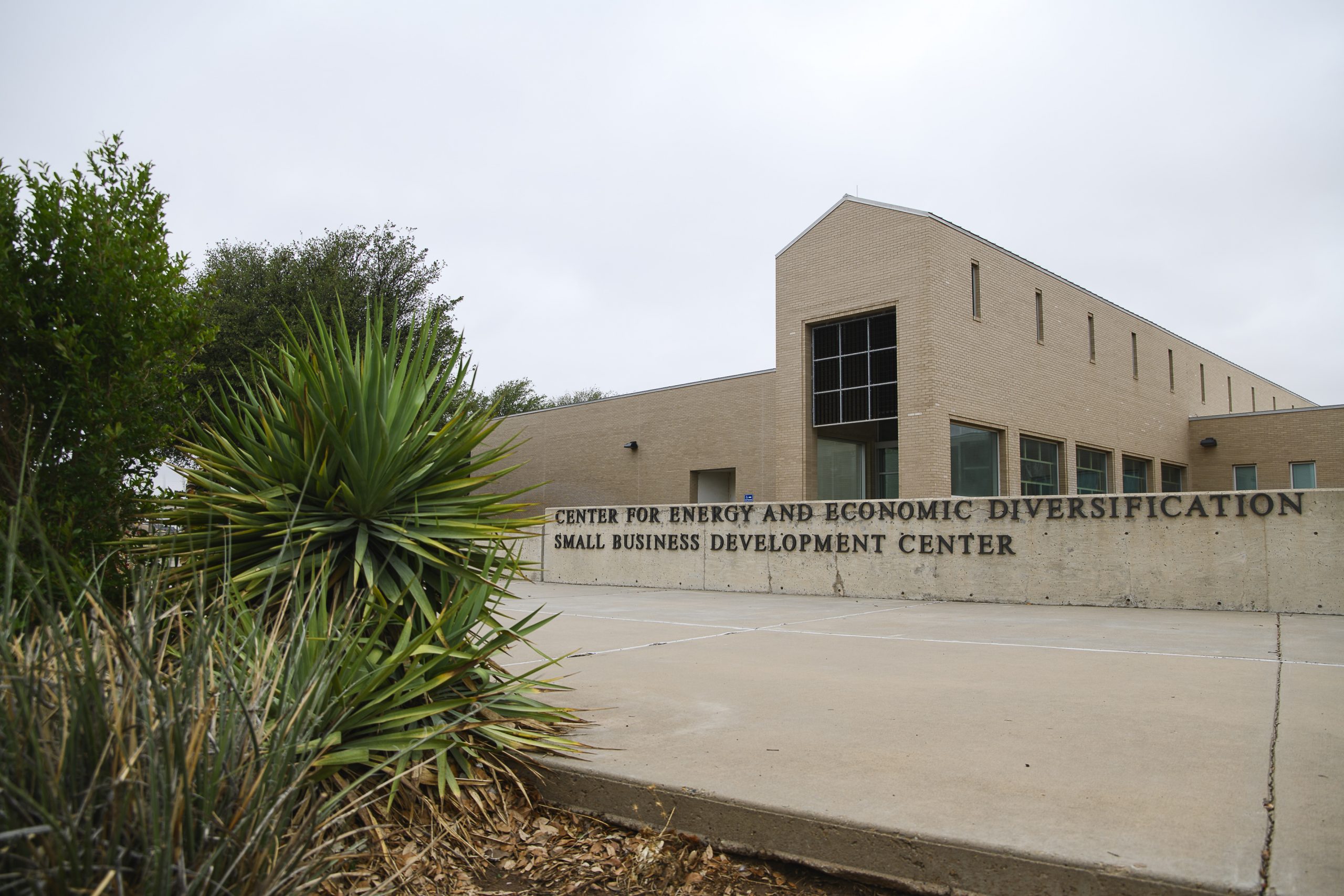 TCBEED - Texas Center for Border Economic and Enterprise Development