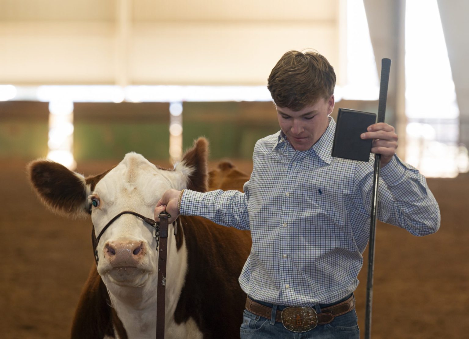 PHOTO GALLERY 2024 SandHills Cattle Showmanship Show Odessa American